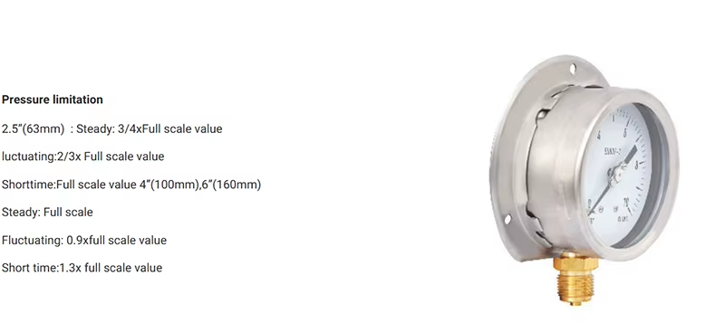 description pressure gauge
