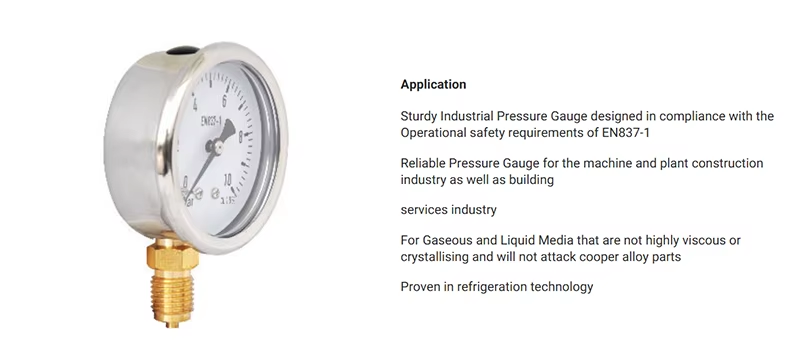 description pressure gauge