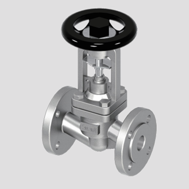 globe valve picture J1 globe valve