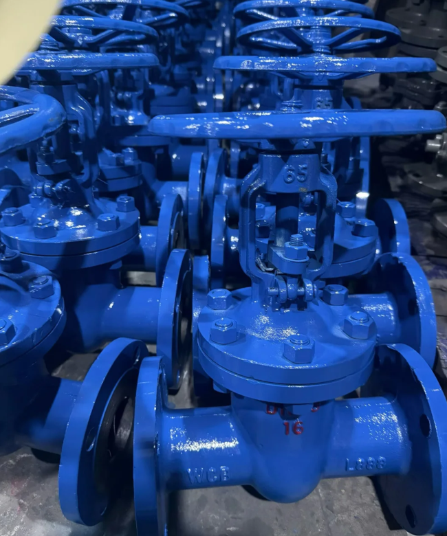 globe valve