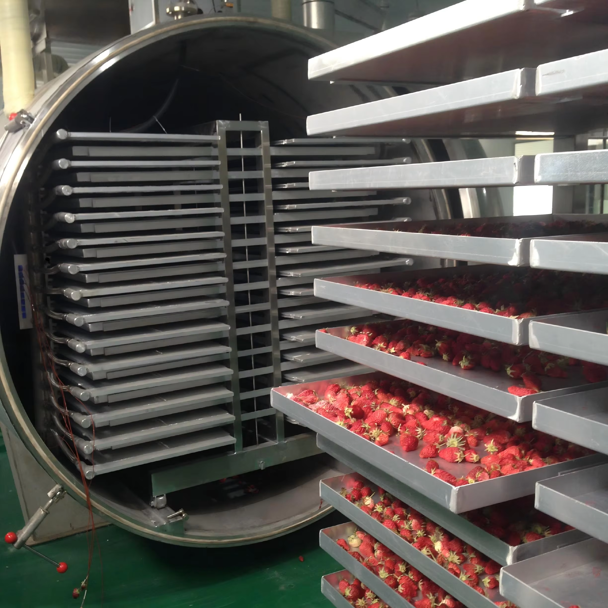 Freeze Dryer