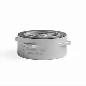 CVW-40 Wafer Lift Steam Check Valve High Temperature Manual Hot Water Various Sizes 1-Year Warranty Meets Needs Different Medium