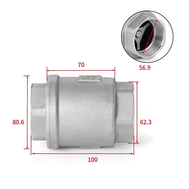 vertical check valve