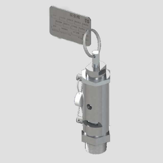 SV-10/SV-13 Mini Sterilizer Safety Valve for Small-scale Fluid Systems