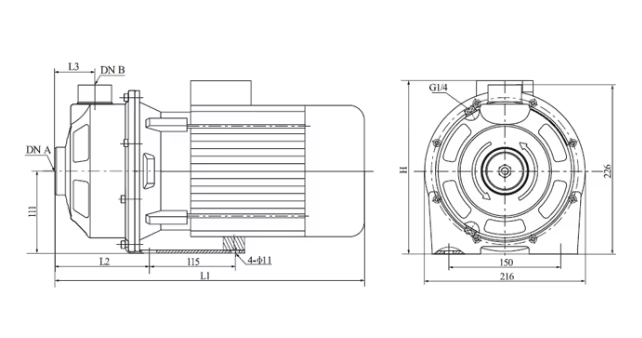 MS/MSS Pump