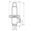 High Precision Clean Steam Pressure Reducing Valve for Food Sanitary Industries Use