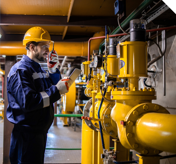 Comprehensive Support & Tailored Solutions