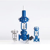 Customizable Steam Water Equipment Electric Control Valve