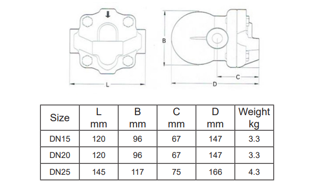 FT14 Float Steam Trap