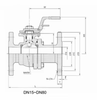 Anti-static Explosion-proof Manual Ball Valve for Hazardous Environments – Precision Cast Body, Double Disc Spring Washers