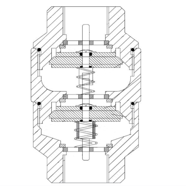 DDCV check valve
