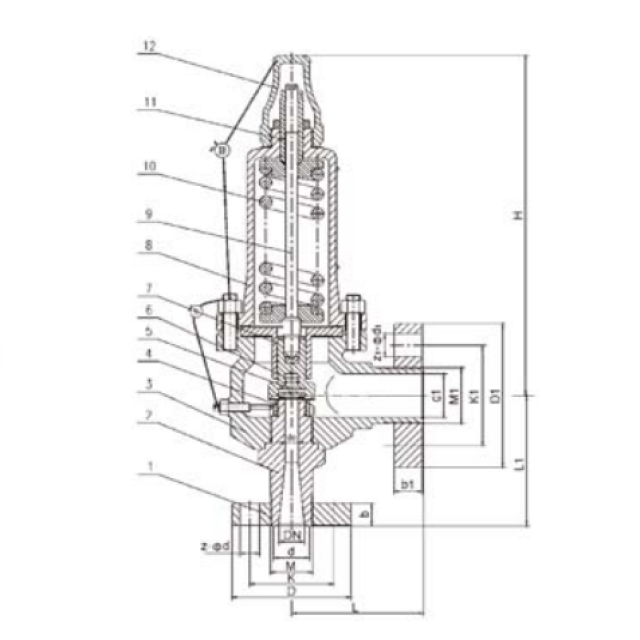 A42Y-160/320 Safety Valve PTFE Coated Spring for Chemical Industry Corrosive Gas Applications