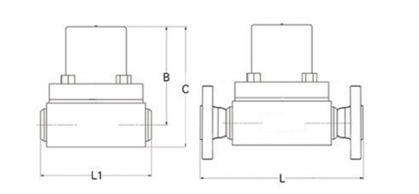 BK 170 Steam Trap